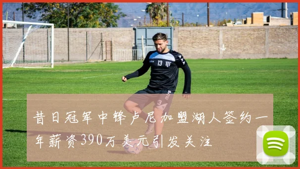 昔日冠军中锋卢尼加盟湖人签约一年薪资390万美元引发关注